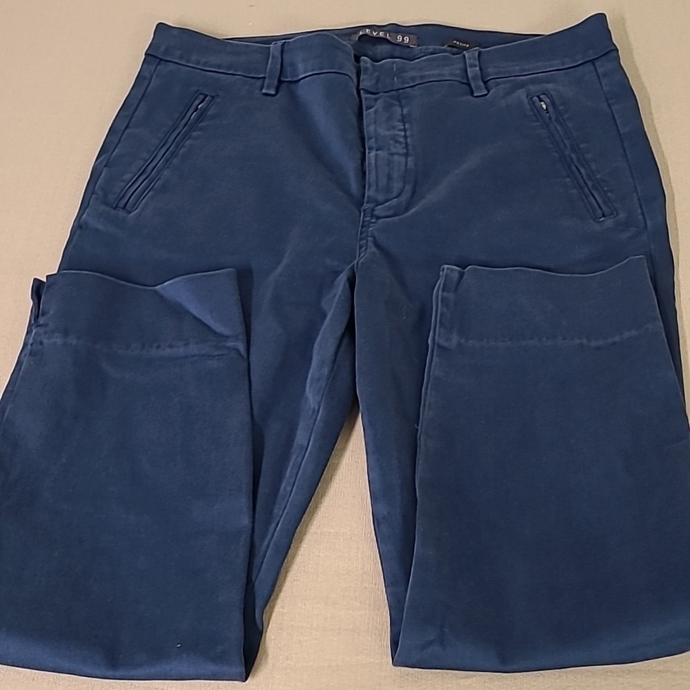 Level Up 99 Anthropologie Size 31 Waist Blue